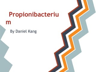 Propionibacteriu
m
 By Daniel Kang
 