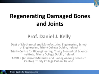 Trinity Centre for Bioengineering
Regenerating Damaged Bones
and Joints
Prof. Daniel J. Kelly
Dept of Mechanical and Manufacturing Engineering, School
of Engineering, Trinity College Dublin, Ireland.
Trinity Centre for Bioengineering, Trinity Biomedical Science
Institute, Trinity College Dublin, Ireland.
AMBER (Advanced Materials and Bioengineering Research
Centre), Trinity College Dublin, Ireland.
 