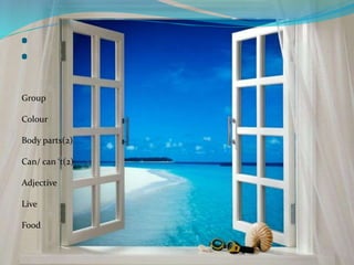 : 
Group 
Colour 
Body parts(2) 
Can/ can ‘t(2) 
Adjective 
Live 
Food 
 