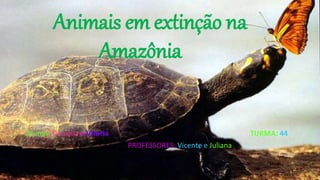 Animais em extinção na
Amazônia
Alunas: Daniella e Vitória TURMA: 44
PROFESSORES: Vicente e Juliana
 
