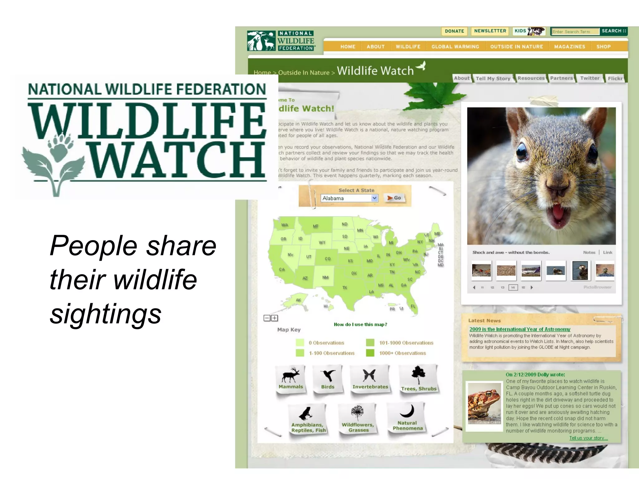 People share their wildlife sightings