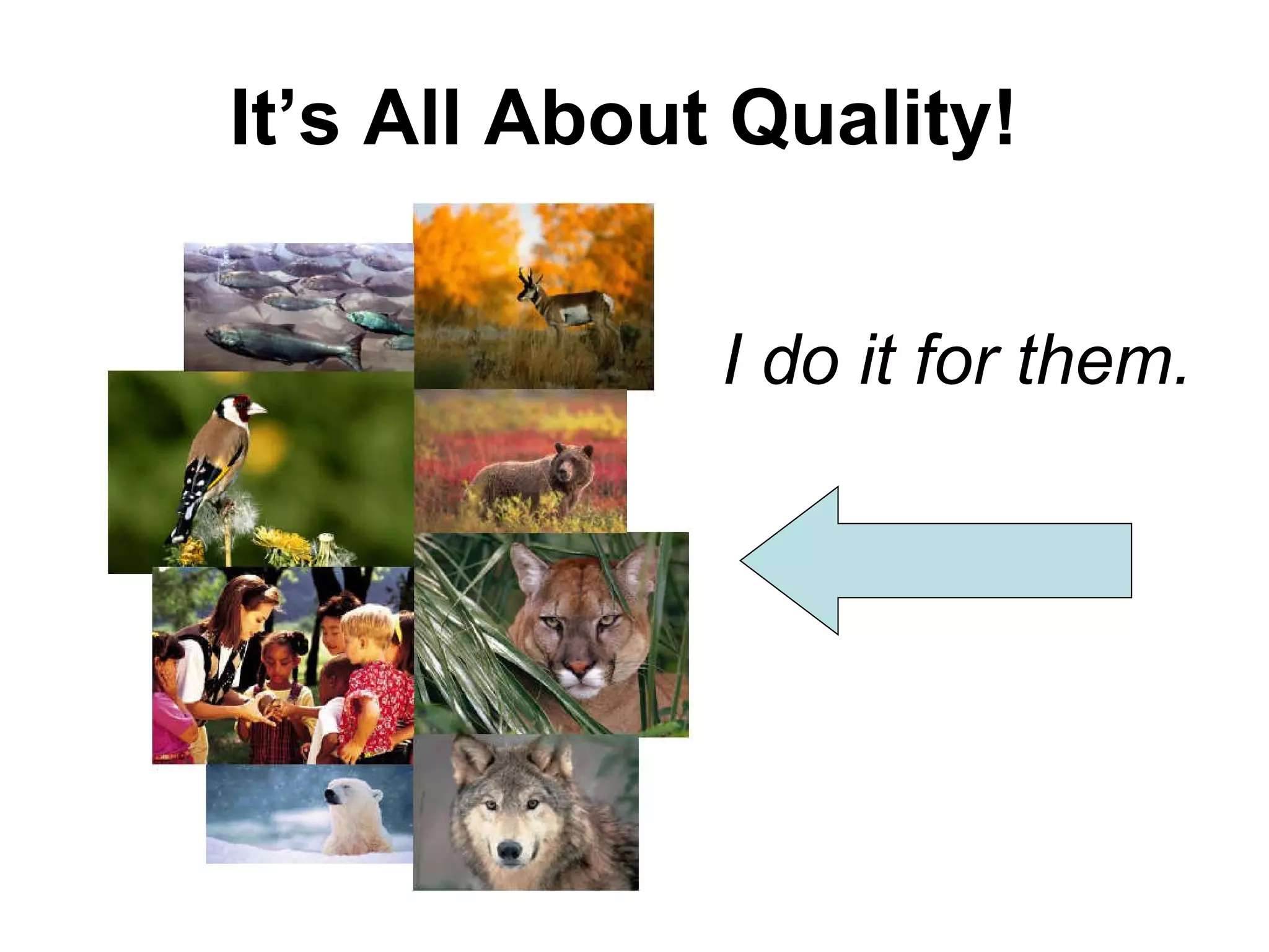 It’s All About Quality! I do it for them.