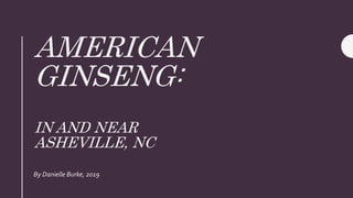 AMERICAN
GINSENG:
IN AND NEAR
ASHEVILLE, NC
By Danielle Burke, 2019
 