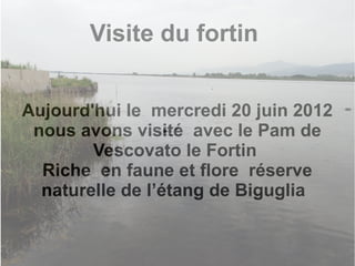 Visite du fortin


Aujourd'hui le mercredi 20 juin 2012
 nous avons visité avec le Pam de
        Vescovato le Fortin
  Riche en faune et flore réserve
  naturelle de l’étang de Biguglia
 