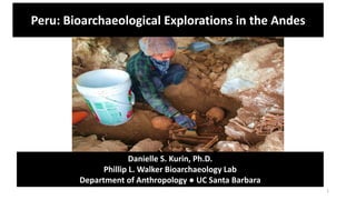 1
Peru: Bioarchaeological Explorations in the Andes
Danielle S. Kurin, Ph.D.
Phillip L. Walker Bioarchaeology Lab
Department of Anthropology ● UC Santa Barbara
 