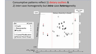 δ13Cap Values:
4200
2200
-1 -2 -3 -4 -5 -6 -7 -8 -9
~100% C₄
0
~50% C3
-9
-10
-11
δ18Oap Values
(offsets)
-12
Consumptive patterns reflect 1) dietary outliers &
2) inter-cave homogeneity but intra-cave heterogeneity
Dietary Diversity is Good!
 