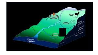 4
18Oapp reflects the latitude and
elevation of imbibed water
18Oxygenapp Isotope values in the sierra:
Hi & Dry = More negative values
Lo & Steamy = Less negative values
16O evaporates more easily than 18O
Pampas
River~2200 MASL
 