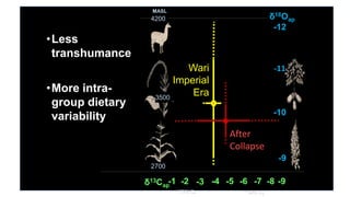 δ13Cap
-1 -2 -3 -4 -5 -6 -7 -8 -9
MASL
~75% C₄ ~50% C3
Wari
Imperial
Era
After
Collapse
-9
-10
δ18Oap
-12
4200
-11
•Less
transhumance
•More intra-
group dietary
variability
3500
2700
 