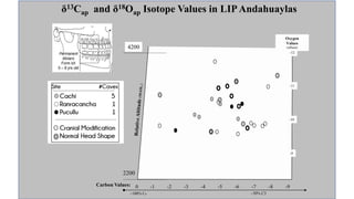 Carbon Values:
4200
2200
-1 -2 -3 -4 -5 -6 -7 -8 -9
~100% C₄
0
~50% C3
-9
-10
-11
Oxygen
Values
(offsets)
-12
δ13Cap and δ18Oap Isotope Values in LIPAndahuaylas
 