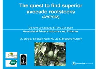 The quest to find superior
  avocado rootstocks
                  (AV07008)

     Danielle Le Lagadec & Terry Campbell
  Queensland Primary Industries and Fisheries

VC project: Simpson Farm Pty Ltd & Birdwood Nursery
 