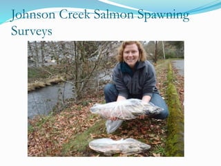 Johnson Creek Salmon Spawning
Surveys
 