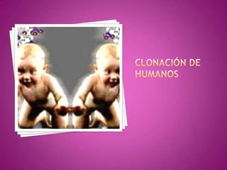 Clonación de humanos