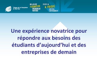 Une expérience novatrice pour
  répondre aux besoins des
étudiants d’aujourd’hui et des
    entreprises de demain
 