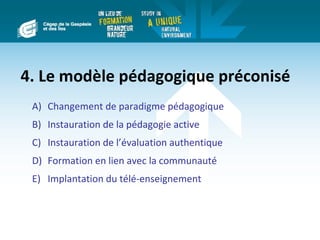 4. Le modèle pédagogique préconisé
 A) Changement de paradigme pédagogique
 B) Instauration de la pédagogie active
 C) Instauration de l’évaluation authentique
 D) Formation en lien avec la communauté
 E) Implantation du télé-enseignement
 