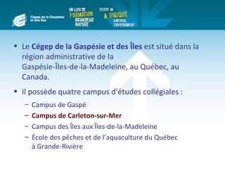 • Le Cégep de la Gaspésie et des Îles est situé dans la
  région administrative de la
  Gaspésie-Îles-de-la-Madeleine, au Québec, au
  Canada.
• Il possède quatre campus d’études collégiales :
   –   Campus de Gaspé
   –   Campus de Carleton-sur-Mer
   –   Campus des Îles aux Îles-de-la-Madeleine
   –   École des pêches et de l’aquaculture du Québec
       à Grande-Rivière
 