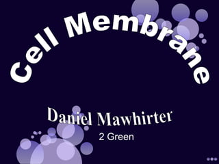 Cell Membrane Daniel Mawhirter 2 Green 