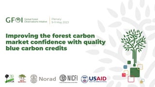 Improving the forest carbon
market confidence with quality
blue carbon credits
 