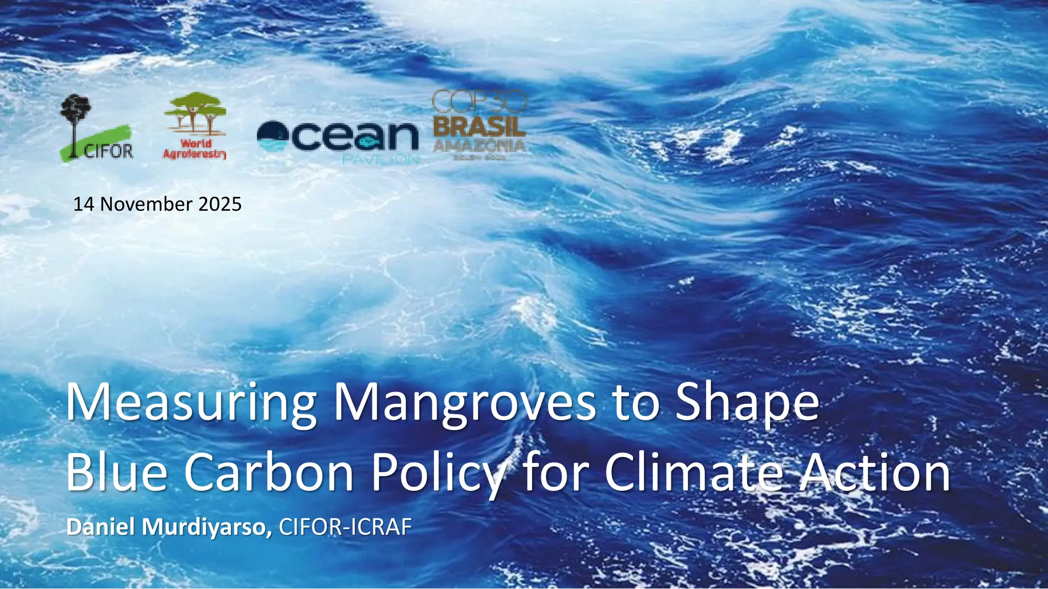 thumbnail of  Measuring Mangroves to Shape Blue Carbon Policy for Climate Action