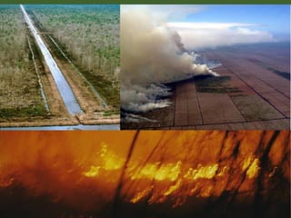 Slash – drain – burn
 