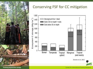Why peatlands matter in the battle against climate change?