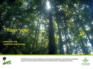 Why peatlands matter in the battle against climate change?