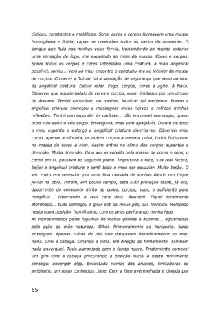 65
cíclicas, constantes e metálicas. Sons, cores e corpos formavam uma massa
homogênea e fluida, capaz de preencher todos os vazios do ambiente. O
sangue que fluía nas minhas veias fervia, transmitindo ao mundo exterior
uma sensação de fogo, me expelindo ao meio da massa. Cores e corpos.
Sobre todos os corpos e cores sobressaiu uma criatura, a mais angelical
possível, sorriu... Veio ao meu encontro e conduziu-me ao interior da massa
de corpos. Comecei a flutuar tal a sensação de segurança que senti ao lado
da angelical criatura. Deixei rolar. Fogo, corpos, cores e agito. A festa.
Observei que aquele balaio de cores e corpos, eram limitados por um círculo
de árvores. Tentei raciocinar, ou melhor, localizar tal ambiente. Porém a
angelical criatura começou a massagear meus nervos e refreou minhas
reflexões. Tentei corresponder às carícias... não encontrei seu corpo, quero
dizer não senti o seu corpo. Enxergava, mas sem apalpá-lo. Diante de todo
o meu espanto e esforço a angelical criatura divertia-se. Observei meu
corpo, apenas a silhueta, os outros corpos a mesma coisa, todos flutuavam
na massa de cores e som. Assim entrei no clima dos corpos ausentes e
diversão. Muita diversão. Uma vez envolvido pela massa de cores e sons, o
corpo em si, passava ao segundo plano. Importava a face, sua real faceta,
beijei a angelical criatura e senti todo o meu ser esvaziar. Muito tesão. O
seu rosto era revestido por uma fina camada de sonhos dando um toque
jovial na obra. Porém, em pouco tempo, esta sutil proteção facial, já era,
decorrente do constante atrito de cores, corpos, suor, o suficiente para
rompê-la... Libertando a real cara dela. Assustei. Fiquei totalmente
atordoado... tudo começou a girar sob os meus pés, cai. Vencido. Relocado
nesta nova posição, humilhante, com os anos perfurando minha face
Ali representados pelas fagulhas de rochas gélidas e ásperas... aglutinadas
pela ação da mãe natureza. Olhei. Primeiramente ao horizonte. Nada
enxerguei. Apenas vultos de pés que dançavam freneticamente no meu
nariz. Girei a cabeça. Olhando a cima. Em direção ao firmamento. Também
nada enxerguei. Tudo alaranjado com o fundo negro. Tristemente comecei
um giro com a cabeça procurando a posição inicial e neste movimento
consegui enxergar algo. Encostada numas das arvores, limitadoras do
ambiente, um rosto conhecido. Jane. Com a face avermelhada e cingida por
 