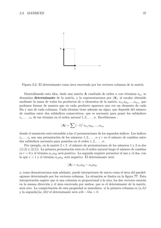 2.3. MATRICES 37
4
2
Figura 2.2: El determinante como área encerrada por los vectores columna de la matriz
Generalizando esta idea, dada una matriz A cuadrada de orden n con términos aij, se
denomina determinante de la matriz, y lo representaremos por |A|, al escalar obtenido
mediante la suma de todos los productos de n elementos de la matriz, a1i1 a2i2 , ..., anin , que
podemos formar de manera que en cada producto aparezca una vez un elemento de cada
Þla y uno de cada columna. Cada término tiene además un signo, que depende del número
de cambios entre dos subíndices consecutivos, que es necesario para poner los subíndices
i1, . . . , in de ese término en el orden natural 1, 2, . . . , n. Escribiremos :
|A| =
X
(−1)r
a1i1 a2i2 , ..., anin
donde el sumatorio está extendido a las n! permutaciones de los segundos índices. Los índices
i1, . . . in son una permutación de los números 1, 2, . . . , n y r es el número de cambios entre
dos subíndices necesario para ponerlos en el orden 1, 2, . . . , n.
Por ejemplo, en la matriz 2 × 2 el número de permutaciones de los números 1 y 2 es dos
((1,2) y (2,1)). La primera permutación está en el orden natural luego el número de cambios
es r = 0 y el término a11a22 será positivo. La segunda requiere permutar el uno y el dos, con
lo que r = 1 y el término a12a21 será negativo. El determinante será:
|A| = a11a22 − a12a21.
y, como demostraremos más adelante, puede interpretarse de nuevo como el área del paralel-
ogramo determinado por los vectores columna. La situación se ilustra en la Þgura ??. Esta
interpretación sugiere que si una columna es proporcional a la otra, los dos vectores estarán
en la misma dirección y el área encerrada por ambos, que es el determinante de la matriz,
será cero. La comprobación de esta propiedad es inmediata: si la primera columna es (a, b)0
y la segunda(λa, λb)0 el determinante será aλb − bλa = 0.
 