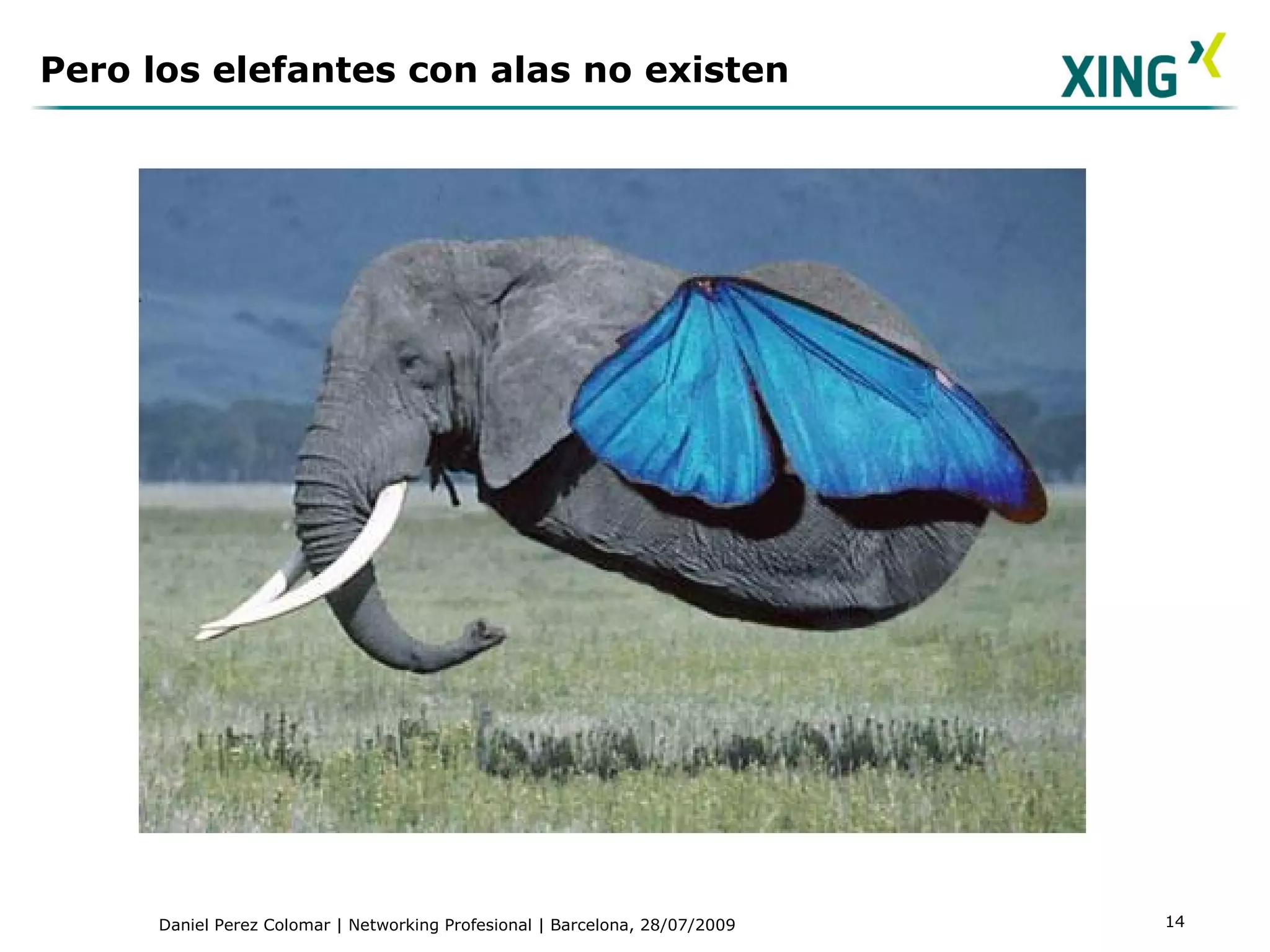 Pero los elefantes con alas no existen 