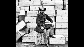 Daniel Polevoy Research