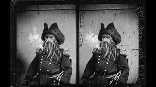 Daniel Polevoy Research