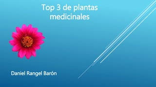 Top 3 de plantas
medicinales
Daniel Rangel Barón
 