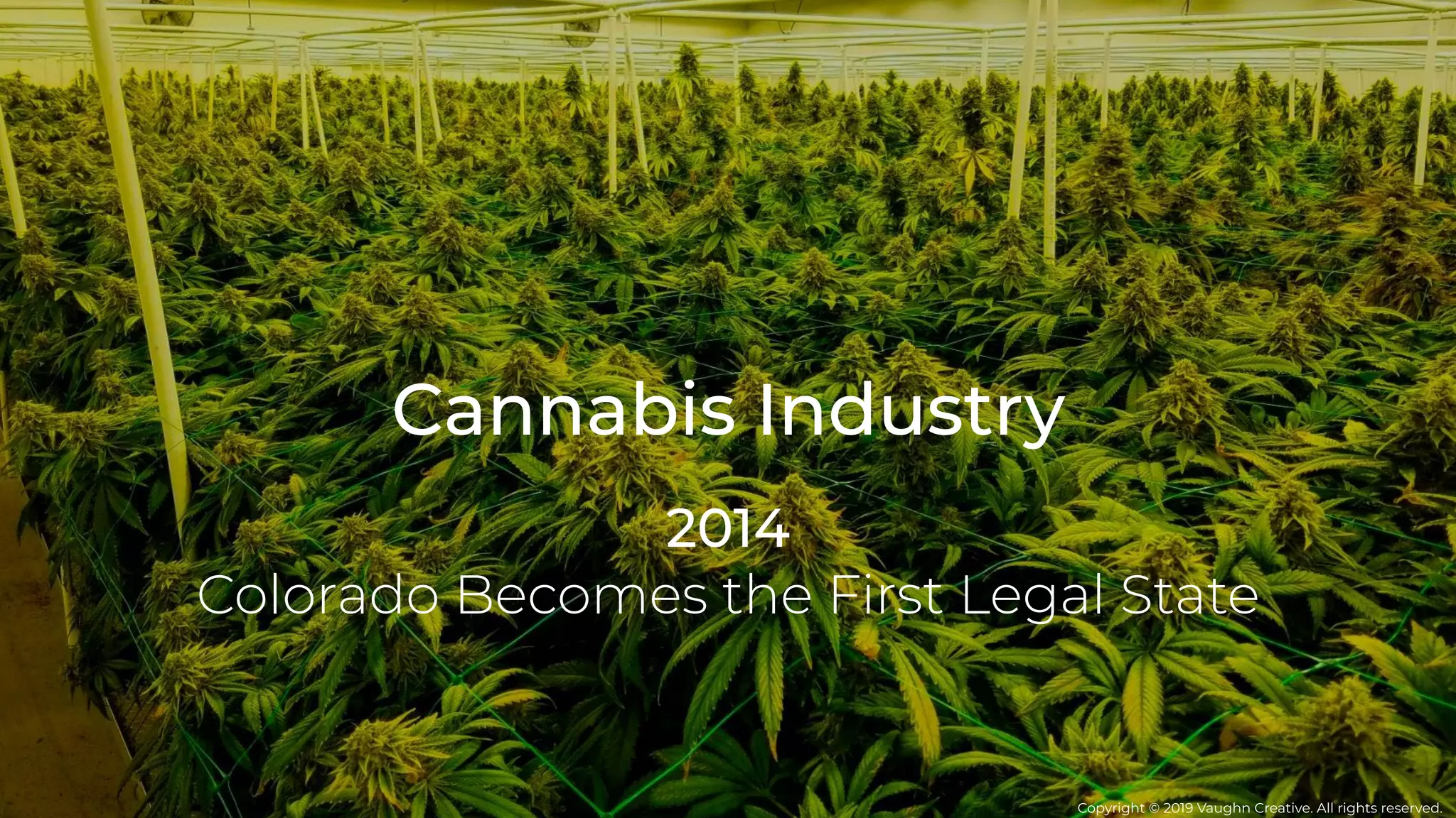 Cannabis Industry
2014
Colorado Becomes the First Legal State
Copyright © 2019 Vaughn Creative. All rights reserved.
 