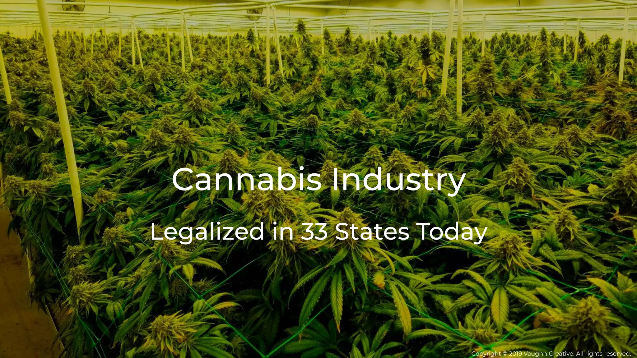 Cannabis Industry
Legalized in 33 States Today
Copyright © 2019 Vaughn Creative. All rights reserved.
 