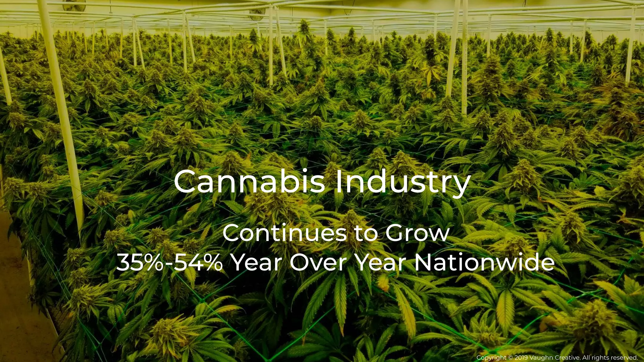 Cannabis Industry
Continues to Grow
35%-54% Year Over Year Nationwide
Copyright © 2019 Vaughn Creative. All rights reserved.
 