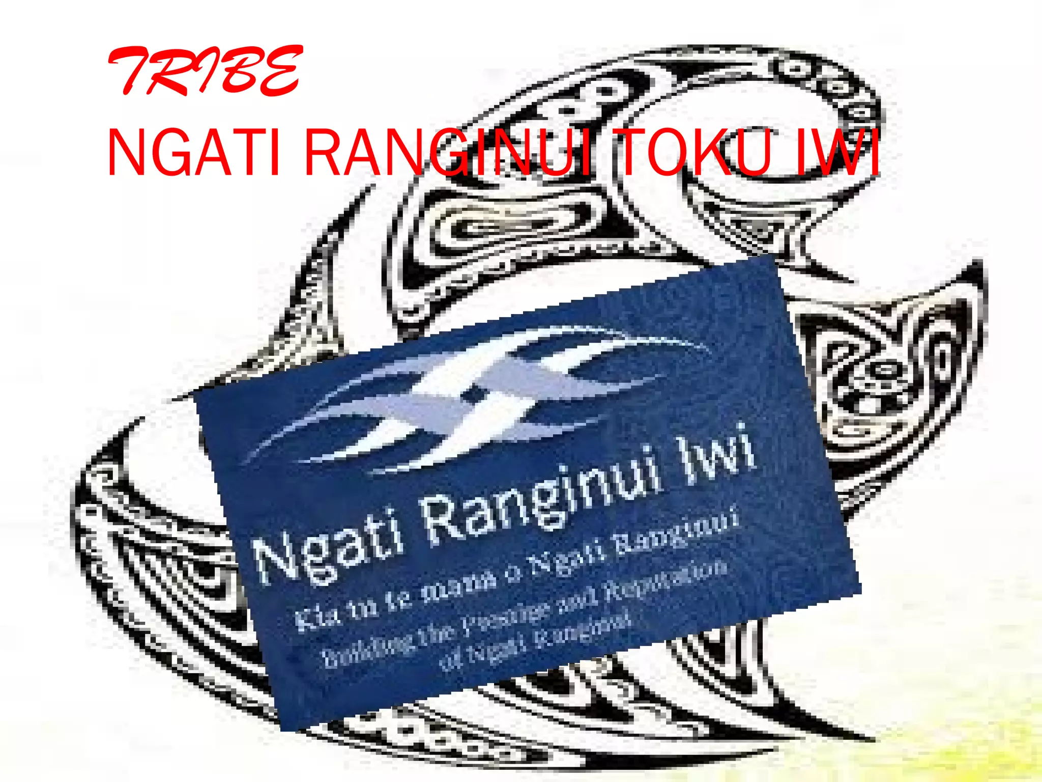 TRIBE
NGATI RANGINUI TOKU IWI