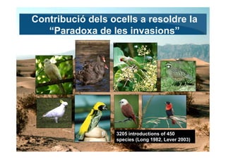 Contribució dels ocells a resoldre la
   “Paradoxa de les invasions”




                  3205 introductions of 450
     ...