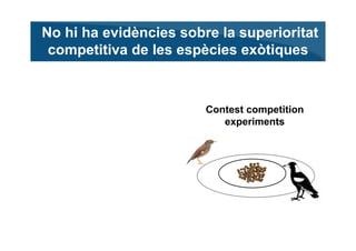 No hi ha evidències sobre la superioritat
 competitiva de les espècies exòtiques



                        Contest compet...