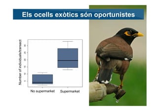 Els ocells exòtics són oportunistes
Number of individuals/transect
                                 30
                   ...