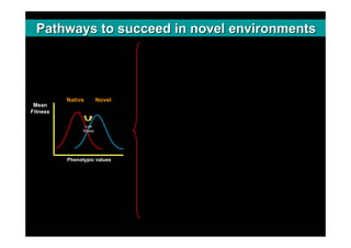 Pathways to succeed in novel environments




          Native          Novel
 Mean
Fitness

                  Low
       ...