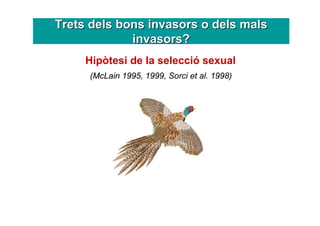 Trets dels bons invasors o dels mals
             invasors?
     Hipòtesi de la selecció sexual
     (McLain 1995, 1999, S...