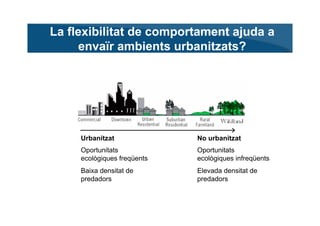 La flexibilitat de comportament ajuda a
     envaïr ambients urbanitzats?




     Urbanitzat              No urbanitzat
 ...