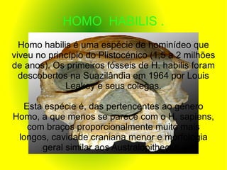 HOMO  HABILIS . Homo habilis é uma espécie de hominídeo que viveu no princípio do Plistocénico (1,5 a 2 milhões de anos). ...