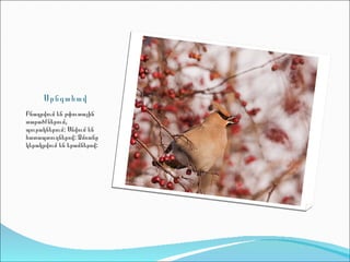 Սրնգահավ
Բնադրվում են թփուտային
տարածքներում,
պուրակներում: Սնվում են
հատապտուղներով: Ձմռանը
կերակրվում են երամներով:
 