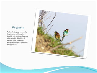 Մեղվակեր
Կանաչ մեղվակերը չափազանց
հազվագյուտ, անհետացման
վտանգի տակ գտնվող, բնադրվող,
չվող թռչուն է: Դնում է 5-8
սպիտակ ձվեր, կերակրվում է
խոշոր միջատներով: Գրանցված է
կարնիր գրքում:
 