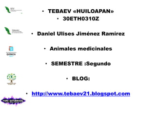 TEBAEV «HUILOAPAN» 30ETH0310Z Daniel Ulises Jiménez Ramírez  Animales medicinales SEMESTRE :Segundo  BLOG: http://www.tebaev21.blogspot.com 
