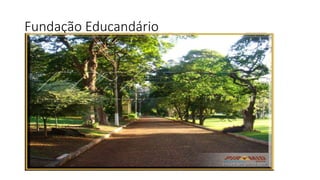 Fundação Educandário 
 
