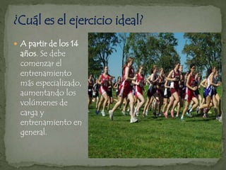  A partir de los 14
años. Se debe
comenzar el
entrenamiento
más especializado,
aumentando los
volúmenes de
carga y
entrenamiento en
general.
 