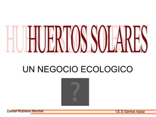 UN NEGOCIO ECOLOGICO Daniel Rubiano Montiel I.E.S Santos Isasa HUERTOS SOLARES  