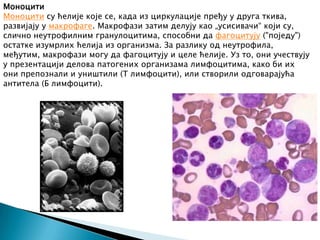 Danijela Rikić I3 | PPT