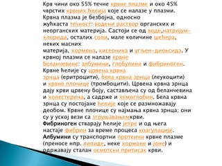 Danijela Rikić I3 | PPT